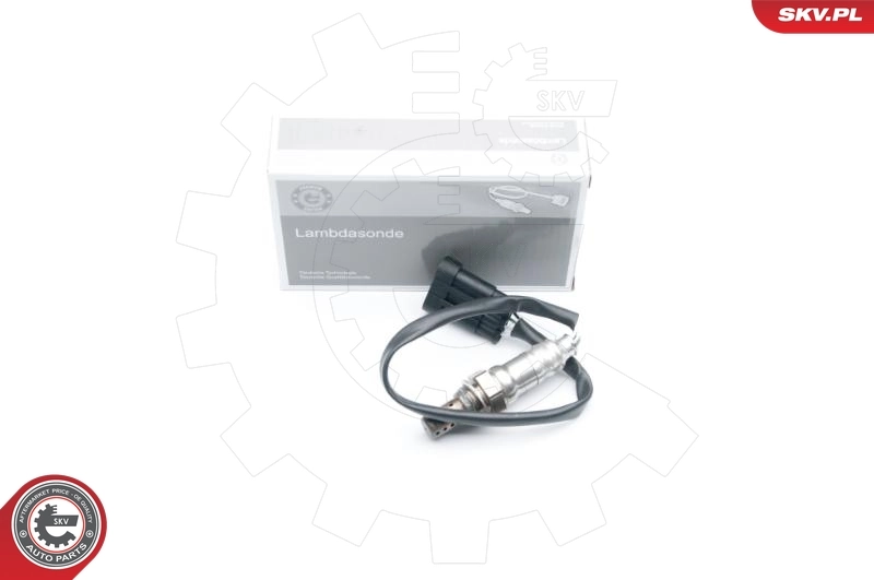 Oxygen Sensor